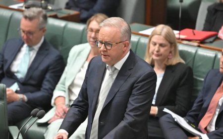 Paperwork Solves It, Politics Breaks It: Australians Left Stuck in Syria as US Pushes Repatriation