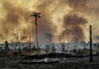 'Amazon of America': short film imagines a post-coup Brazil selling the rainforest to the U.S.