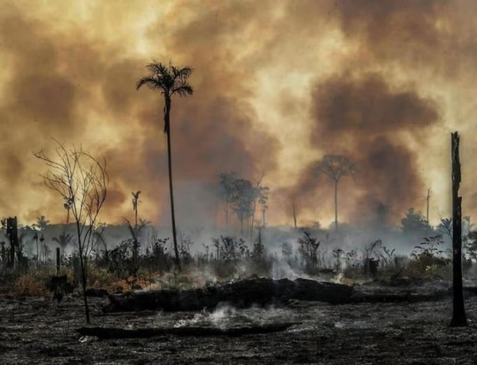 'Amazon of America': short film imagines a post-coup Brazil selling the rainforest to the U.S.