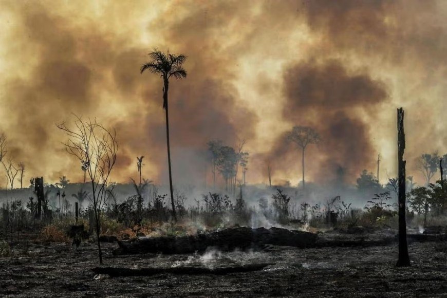 'Amazon of America': short film imagines a post-coup Brazil selling the rainforest to the U.S.